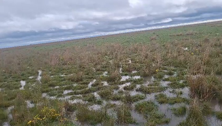 Campos anegados en Paso de los Libres, Corrientes.
